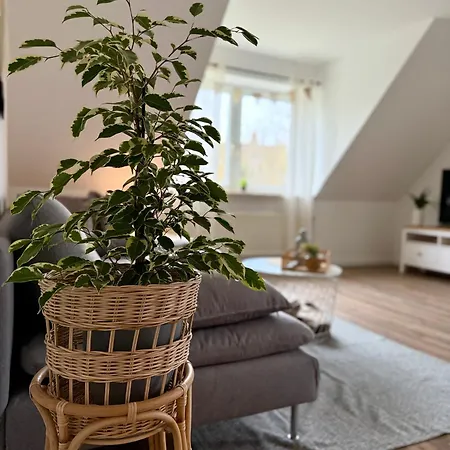 Lägenhet Hygge